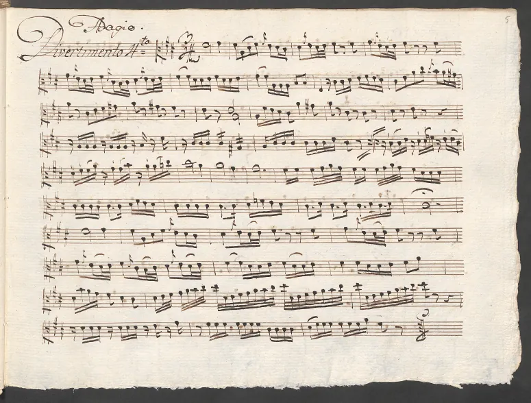 Viola