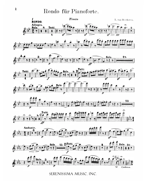Flute