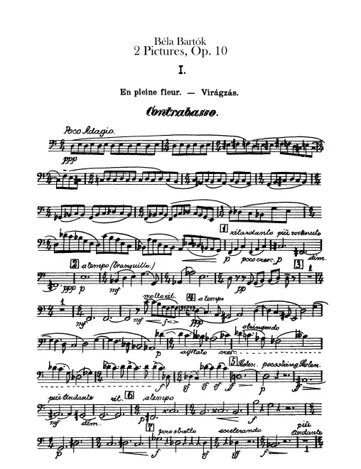 Basses