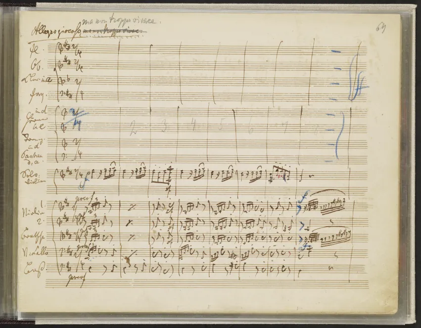 3. Allegro giocoso, ma non troppo vivace (segment 1)