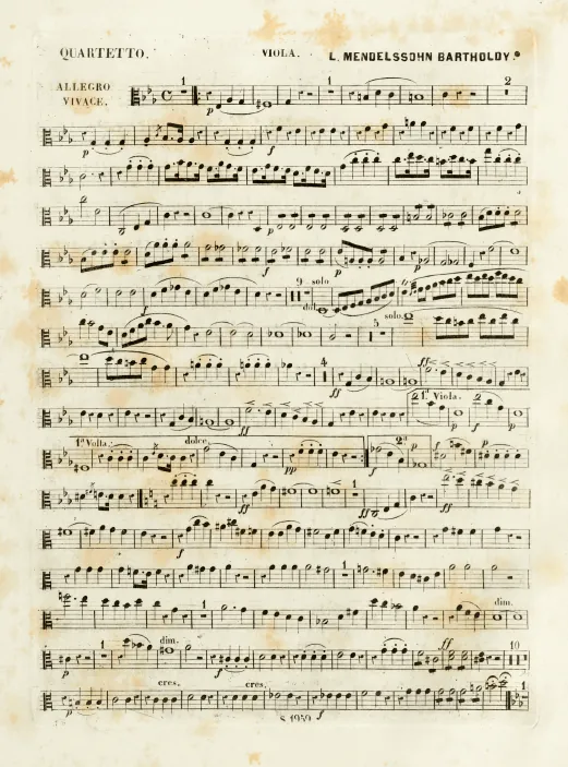 Viola