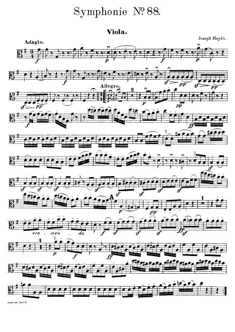 Violas