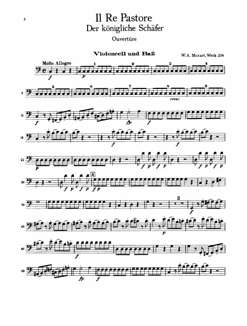 Cellos/Basses