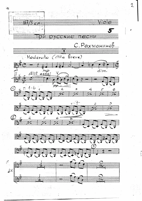Violas