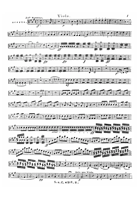 Viola