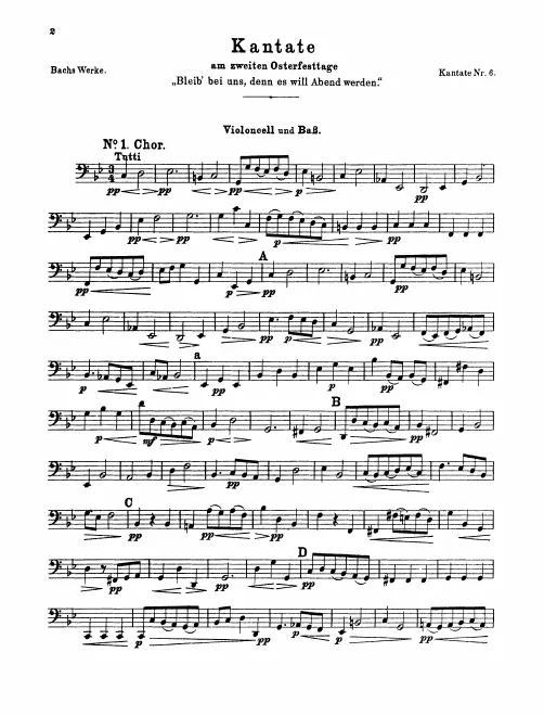 Piccolo Cello/Cellos/Basses
