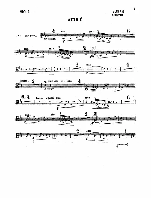 Violas