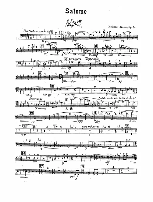 Bassoon 1
