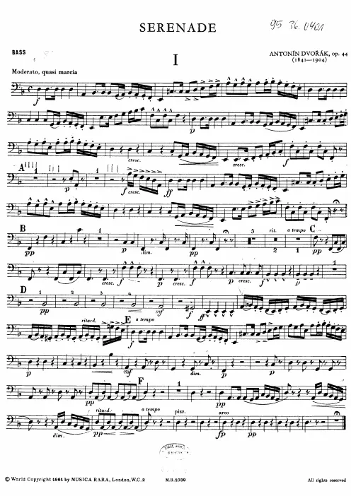 Double Bass