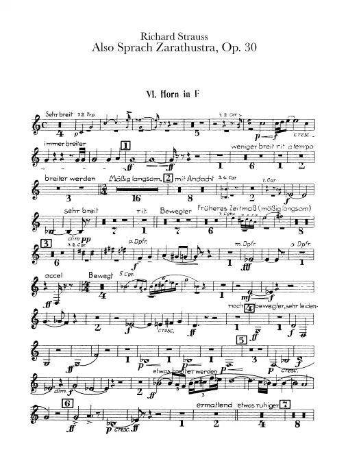 Horn 6 (E/F)