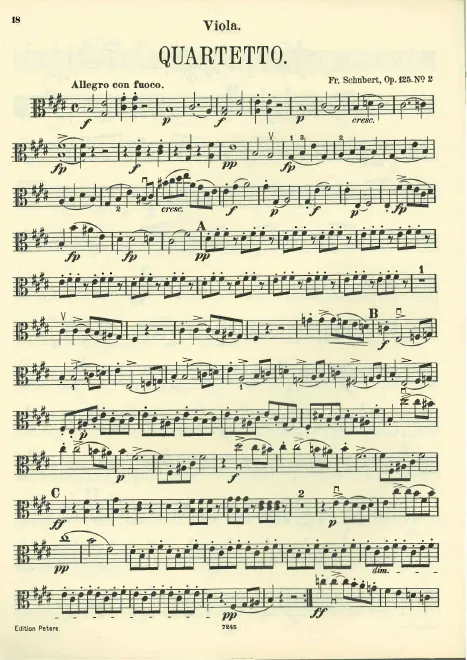 Viola
