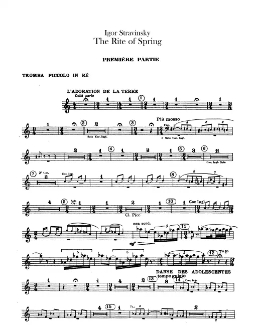 Piccolo Trumpet (D)