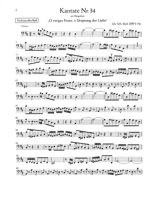 Cellos/Basses