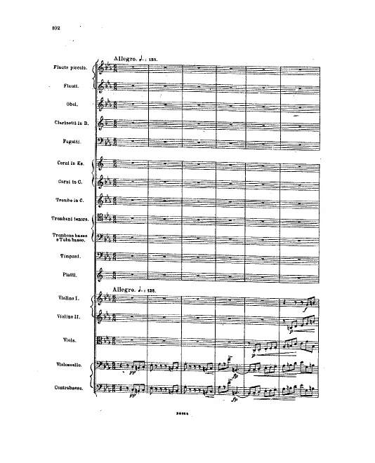 III. Allegro