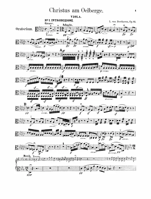 Violas