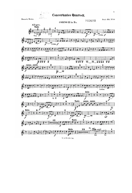 Horn 2 (in E)