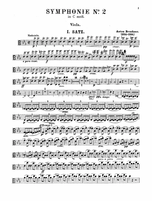 Violas