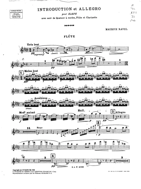 Flute