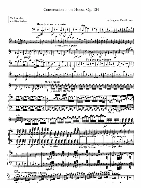 Cellos/Basses