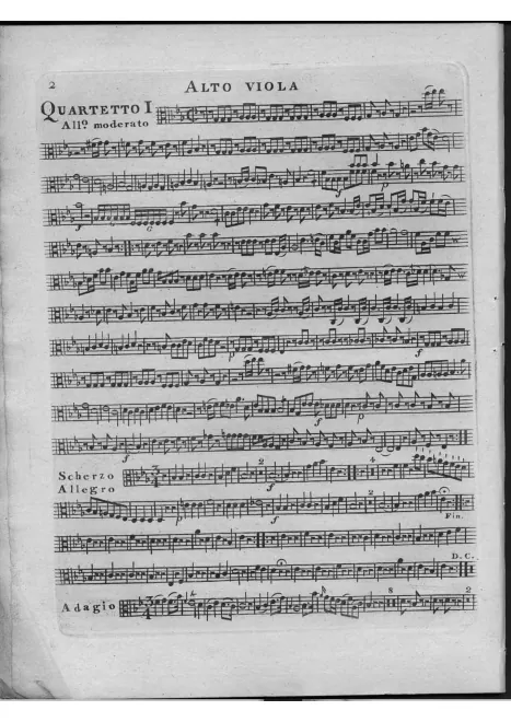Viola