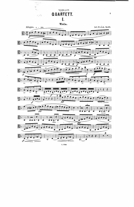 Viola