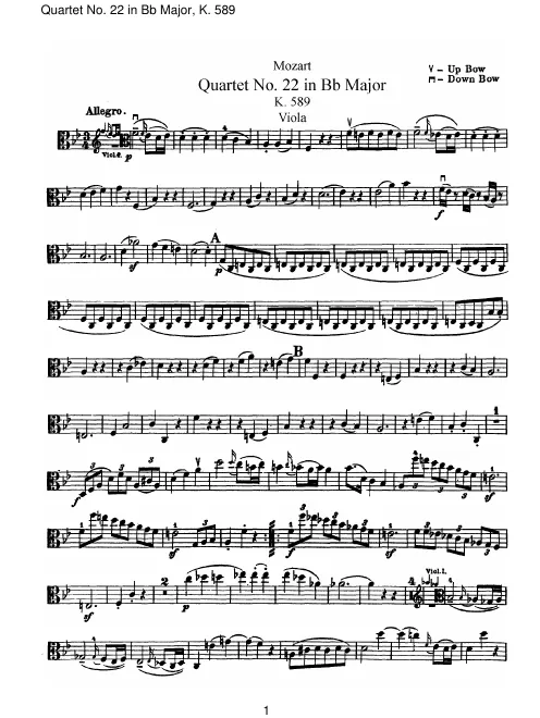 Viola