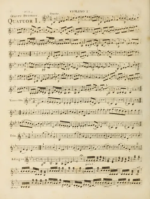 Violin 2
