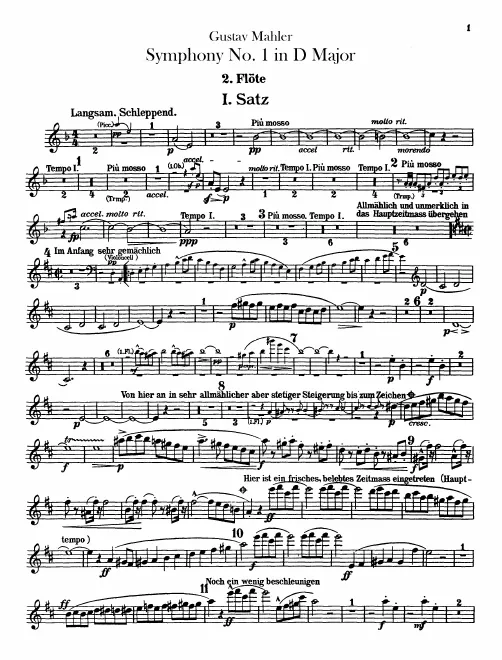 Flute 2/Piccolo 3
