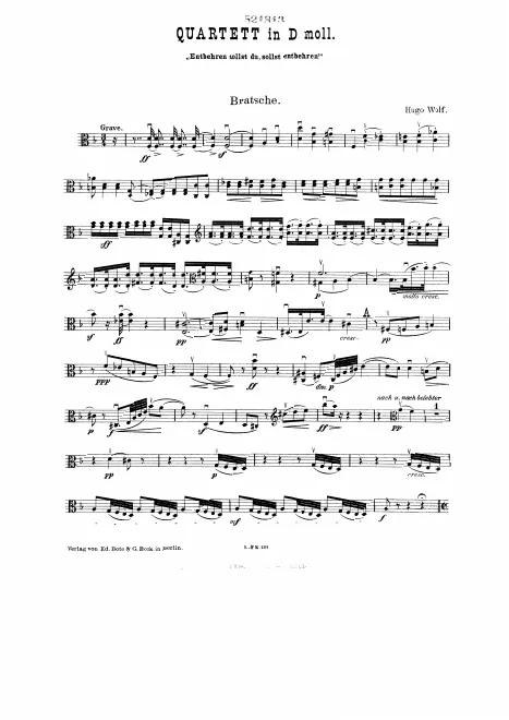Viola