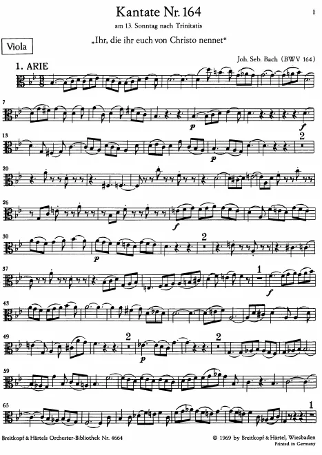 Violas