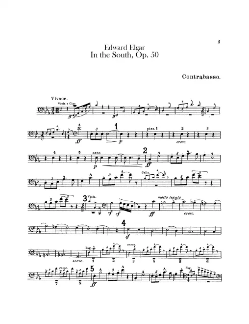 Basses