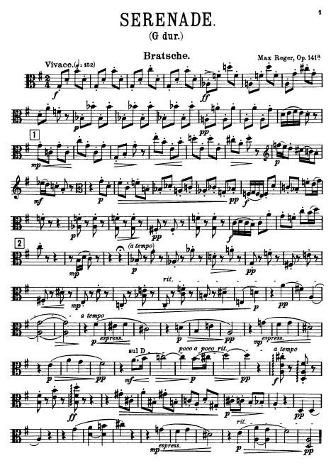 Viola