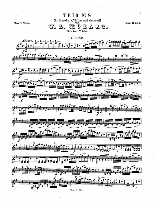 Violin