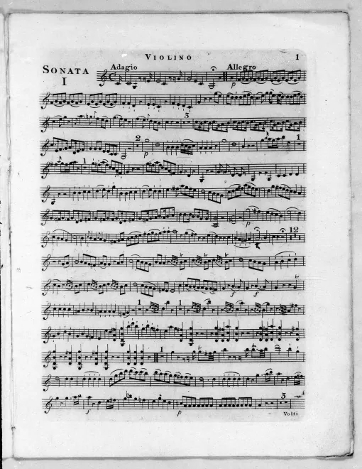 Violin