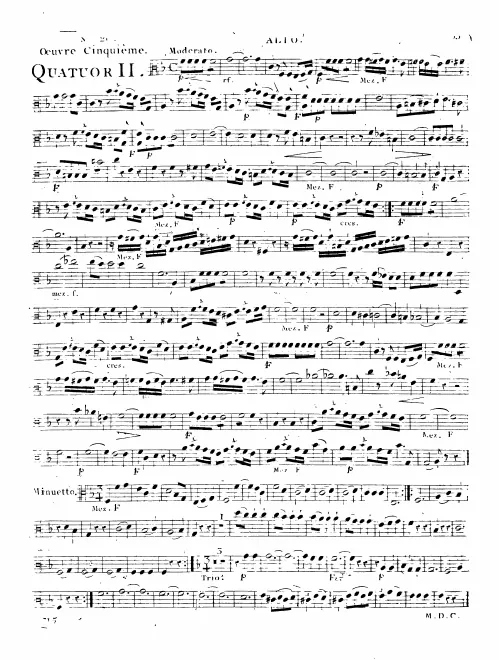 Viola