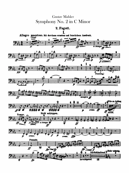 Bassoon 2