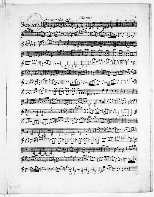Violin