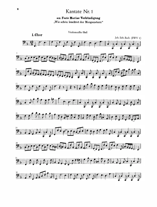 Cellos/Basses