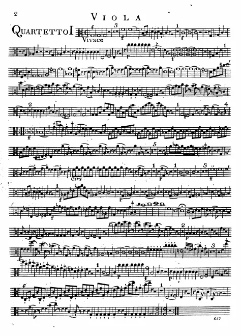 Viola