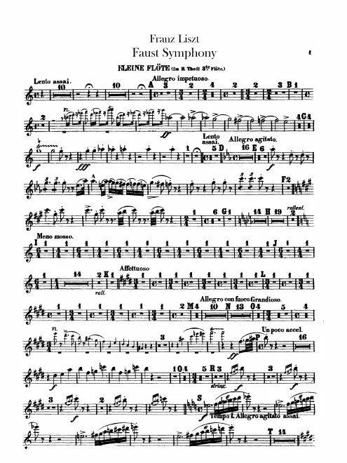 Flute 3/Piccolo