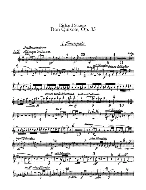 Trumpet 1 (D)