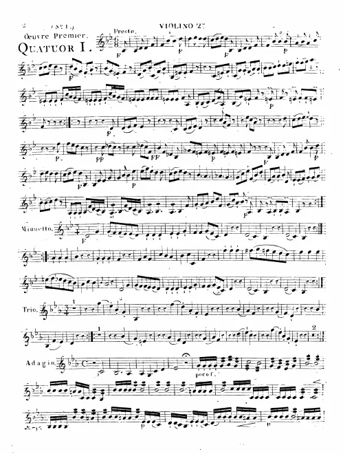 Violin 2