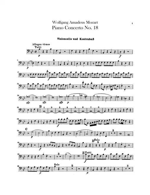 Cellos and Basses