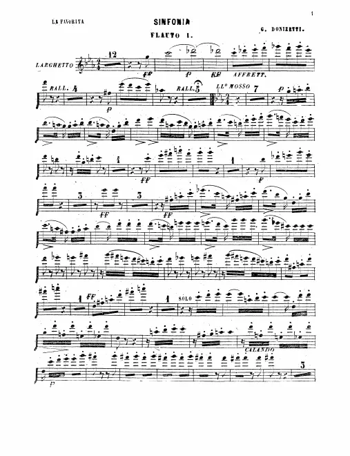 Flute 1