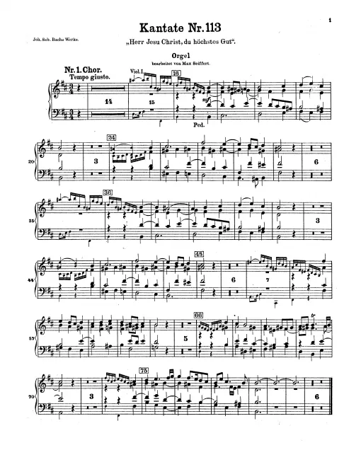 Organ