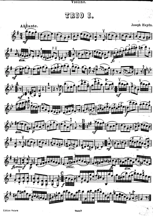Violin