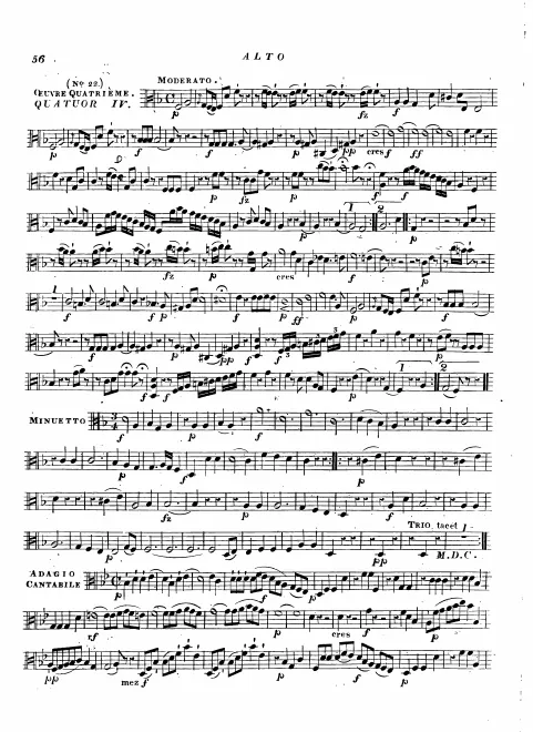 Viola