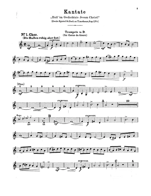 Trumpet (D)