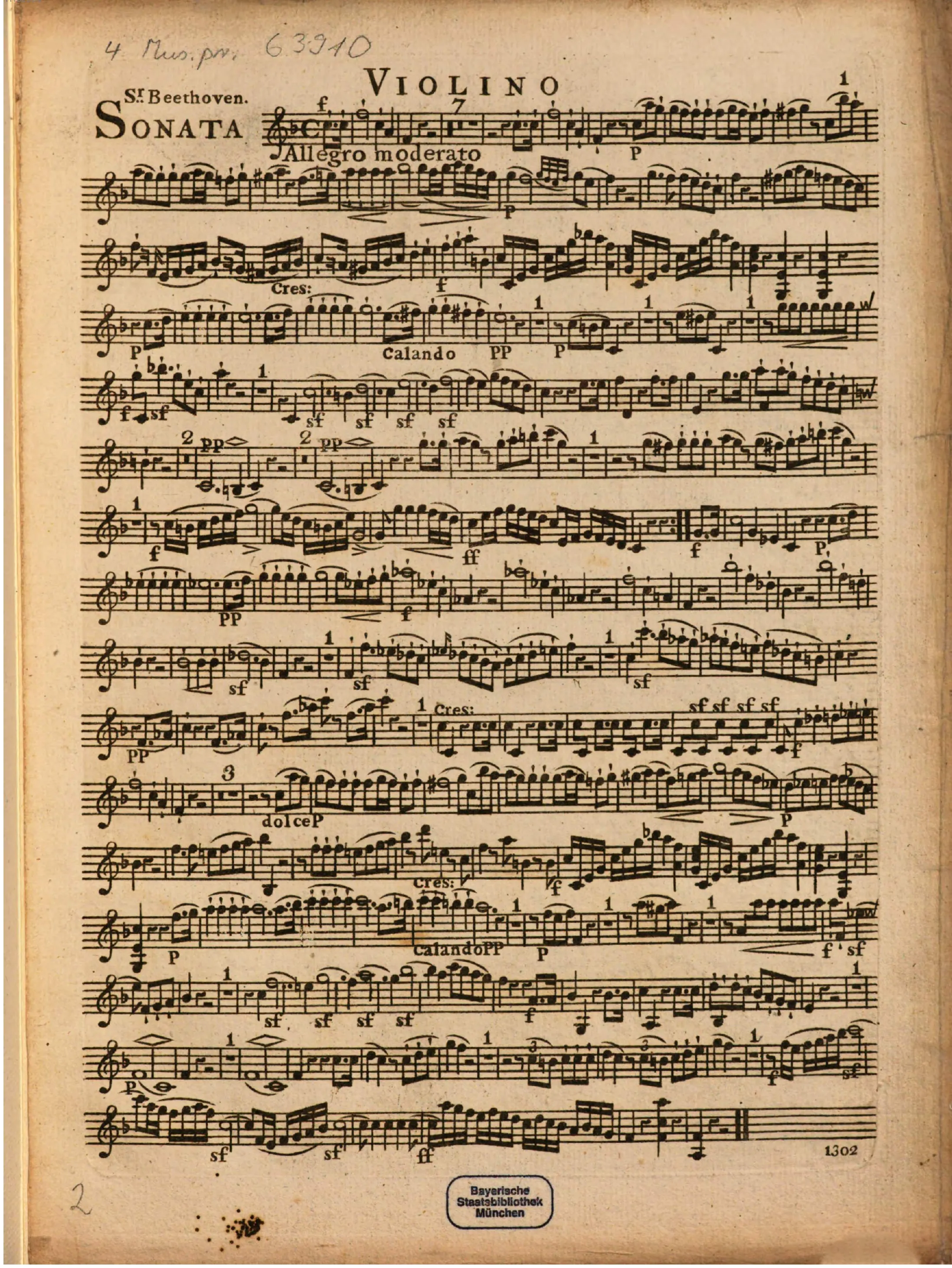 Violin