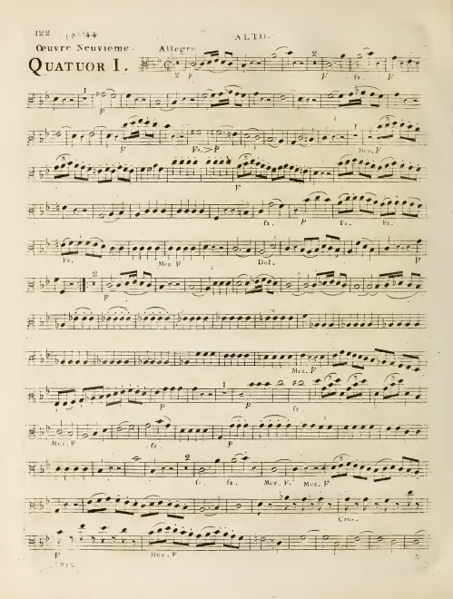Viola
